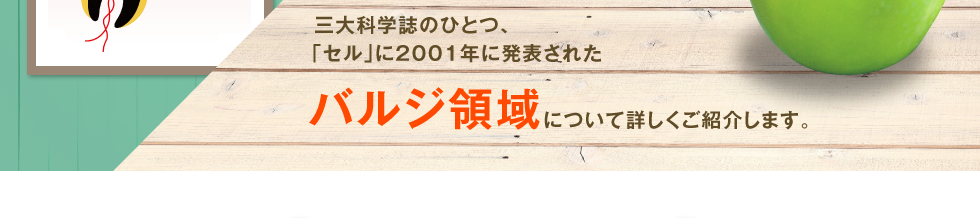三大科学誌のひとつ、「セル」に2001年に発表されたバルジ領域について詳しくご紹介します。
