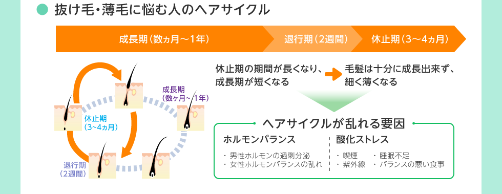 抜け毛・薄毛に悩む人のヘアサイクル