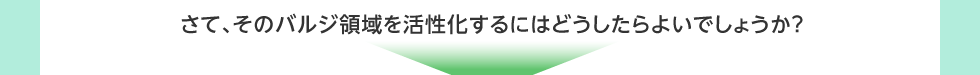 さて、そのバルジ領域を活性化するにはどうしたらよいでしょうか？