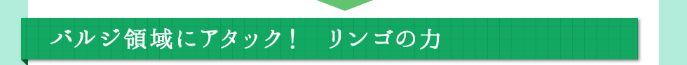 バルジ領域にアタック！ リンゴの力