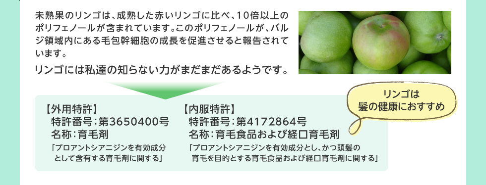未熟果のリンゴは、成熟した赤いリンゴに比べ、10倍以上のポリフェノールが含まれています。このポリフェノールが、バルジ領域内にある毛包幹細胞の成長を促進させると報告されています。リンゴには私達の知らない力がまだまだあるようです。