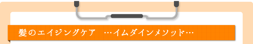 髪のエイジングケア …イムダインメソッド…